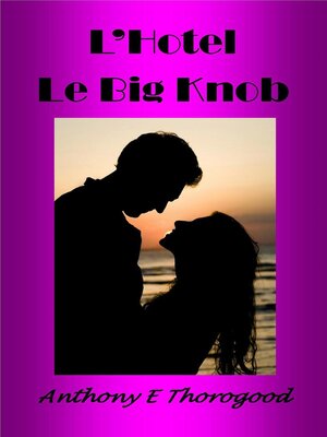 cover image of L'Hotel Le Big Knob